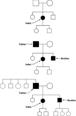 Barriers and Facilitating Factors for Implementation of Genetic Services: A Public Health Perspective